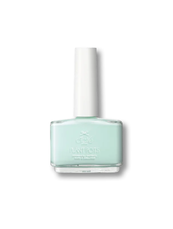 nail polish dawn rain-Plant Pots - Mint To Be